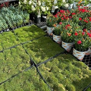 !FOUR NEW CLOTHING ITEMS UP!